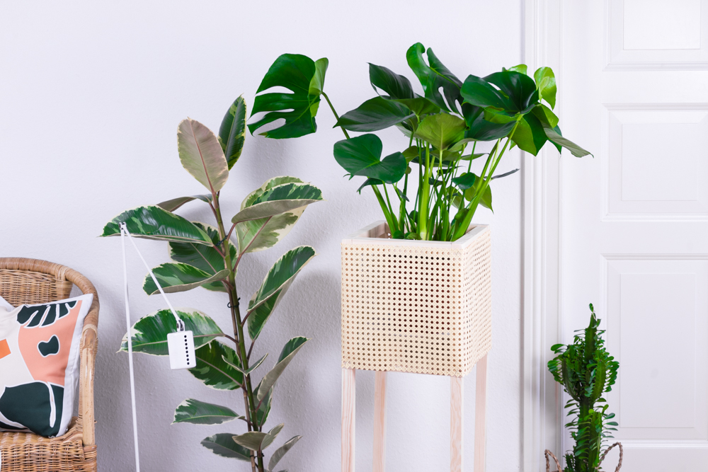 Plant Stand DIY aus Holz und Geflecht- kreative Tutorials für DIY Geschenke, DIY Möbel und DIY Deko zum Basteln